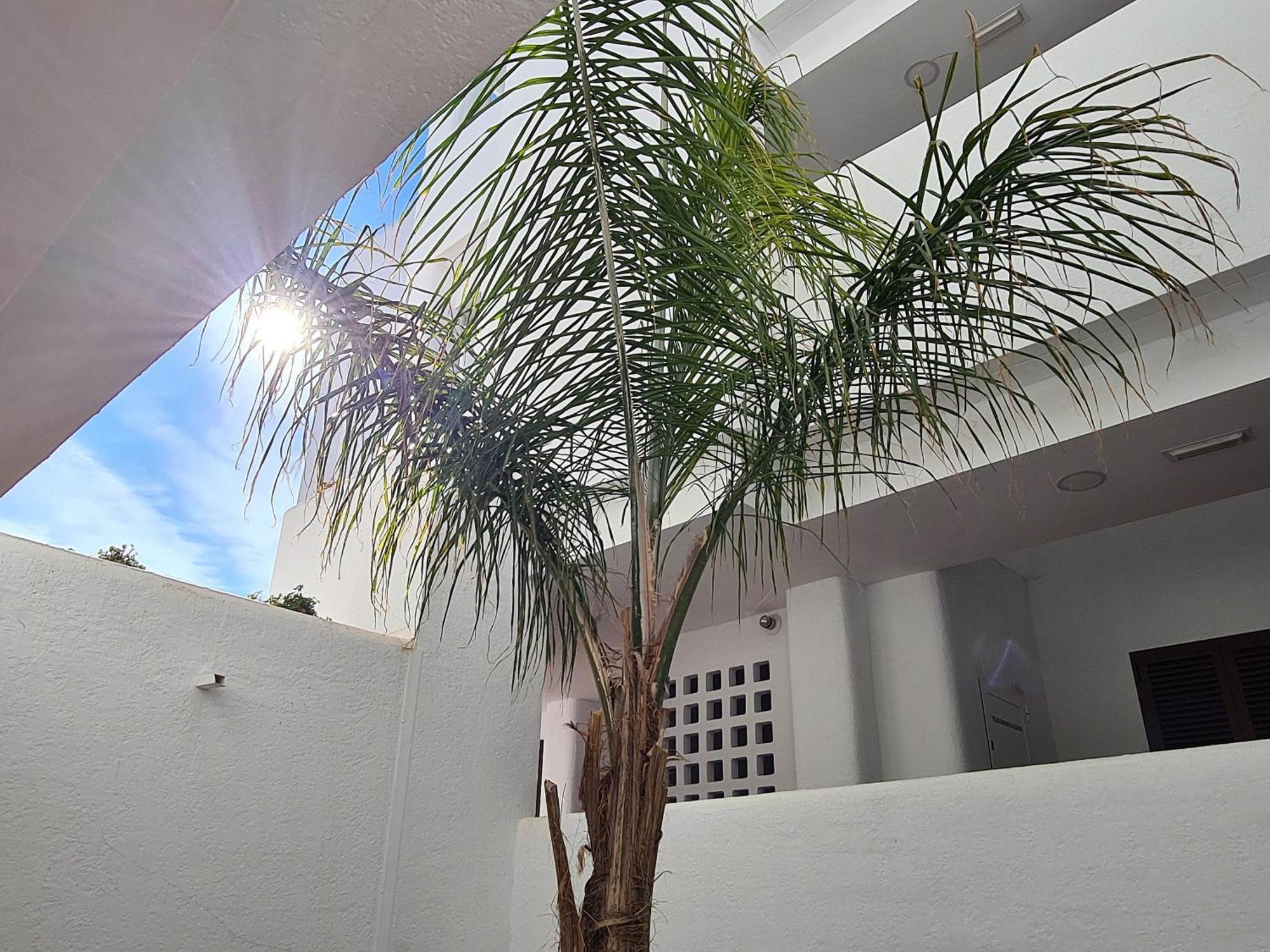 El Sueno Apartment San Juan De Los Terreros Ngoại thất bức ảnh